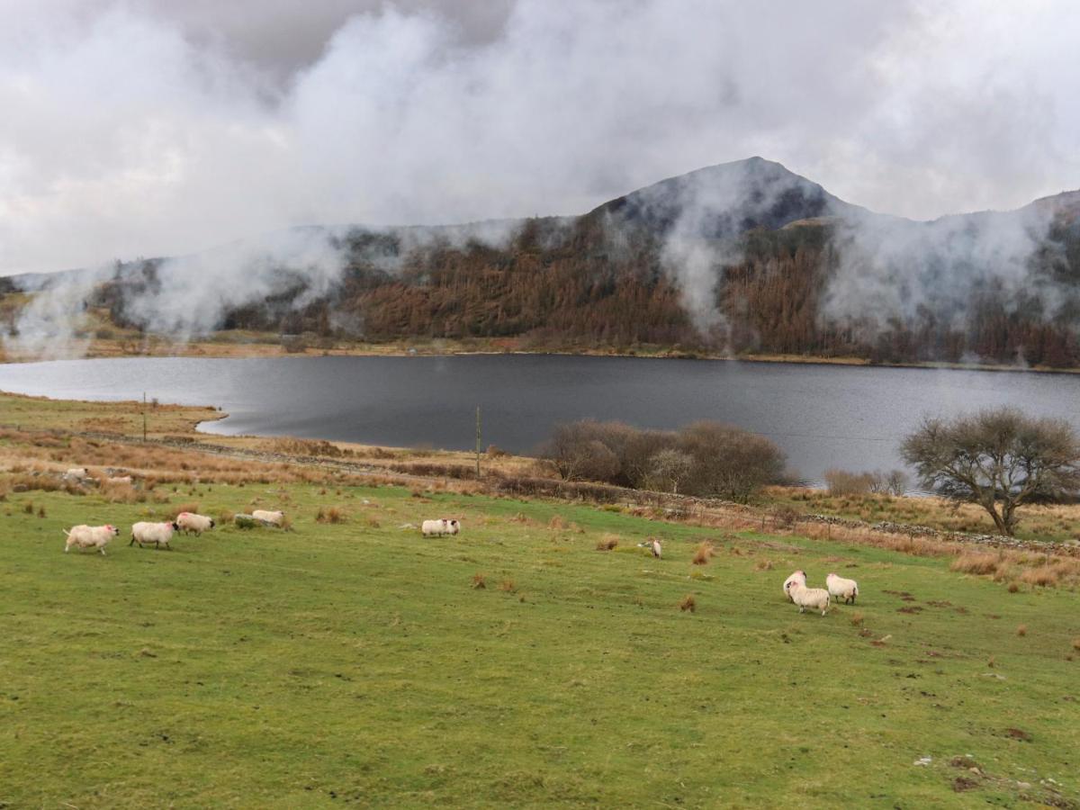 Llys Elen * Caernarfon